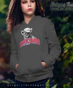 Chicago Baseball Mascot Hoodie