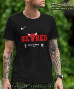 Chicago Bulls Mens Nike Nba Playoff Mantra 2023 T Shirt