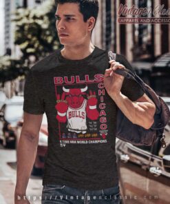 Chicago Bulls Six Time World Champion T Shirt