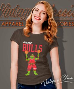 Chicago Bulls X Teenage Mutant Ninja Turtles Women TShirt