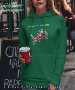 Detroit Lions Autism Its Ok To Be Different Hoodie Women
