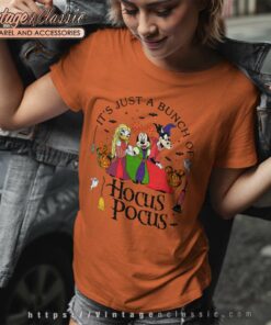 Disney Witch Movie Shirt Minnie And Friends 8 Disney Witch Movie Shirt Minnie And Friends Women TShirt