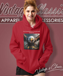 Eagles Brotherly Shove Shirt Go Birds Graphic Hoodie