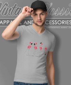 Flamingos Feeling Fabulous V Neck TShirt
