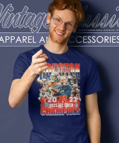 Houston Texans Football 2023 Afc South Champions T Shirt