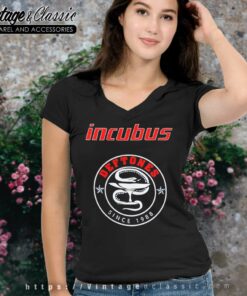 Incubus X Deftones 2015 Tour V Neck TShirt