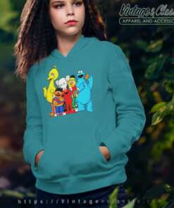 Kaws X Sesame Street Hoodie