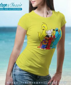 Kaws X Sesame Street Women TShirt