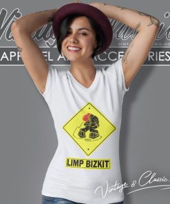 Limp Bizkit Take It Home Shirt 7 Limp Bizkit Take It Home V Neck TShirt