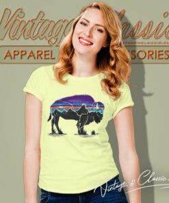 Patagonia Shirt Fitz Roy Bison Responsibili 6 Patagonia Shirt Fitz Roy Bison Responsibili Women T Shirt