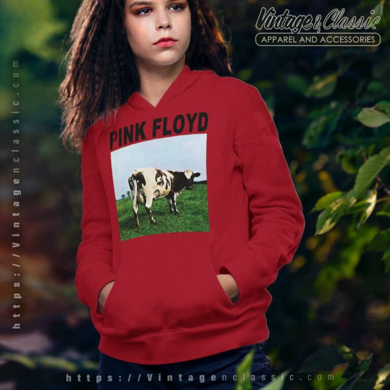 Pink Floyd Atom Heart Mother Hoodie Pink Floyd Atom Heart Mother Hoodie