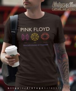 Pink Floyd Delicate Sound Of Thunder Shirt T Shirt