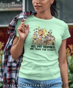 Sesame Street Shirt All My Homies Are From The Street Women TShirt