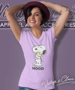 Snoopy And Woodstock Mood V Neck TShirt