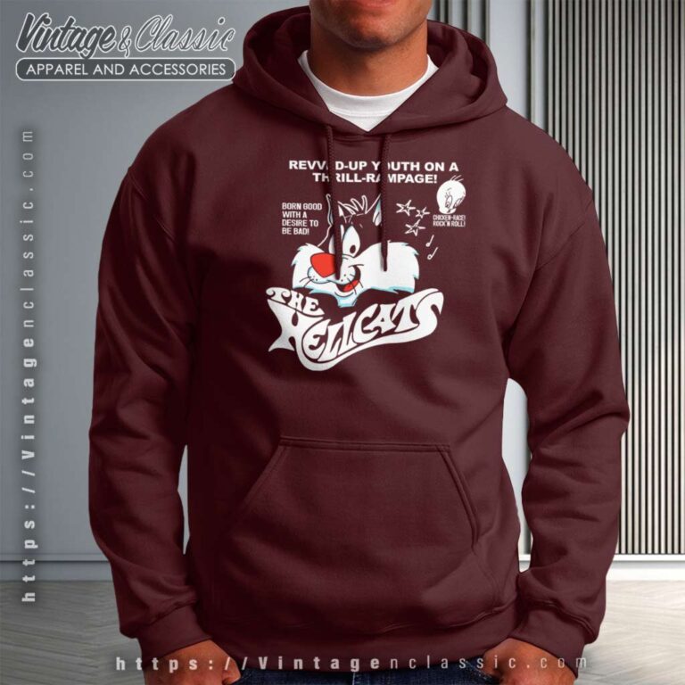 Sylvester Cat And Tweety Looney Tunes Hoodie Sylvester Cat And Tweety Looney Tunes Hoodie
