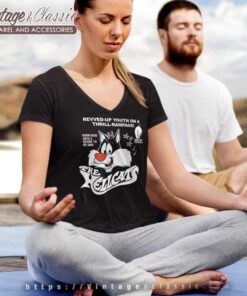 Sylvester Cat And Tweety Looney Tunes V Neck TShirt