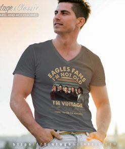 The Eagles Fans Im Not Old Shirt The Long Goodbye Tour V Neck TShirt