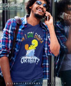 Tweety Bird Am I Cool Enough Shirt 5 Tweety Bird Am I Cool Enough V Neck TShirt