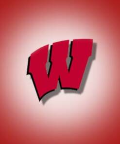Wisconsin Badgers