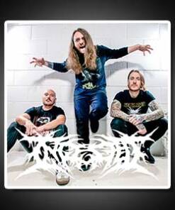 Ingested