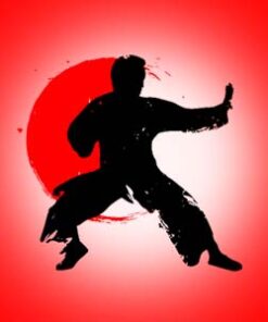 Martial Art